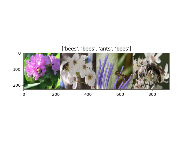 ['bees', 'bees', 'ants', 'bees']