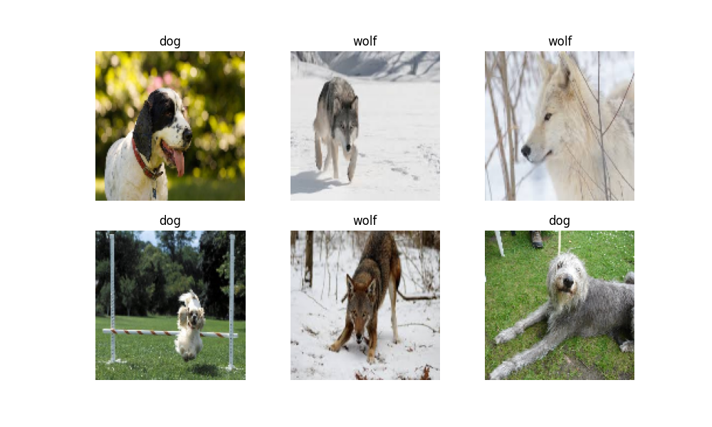 dog, wolf, wolf, dog, wolf, dog