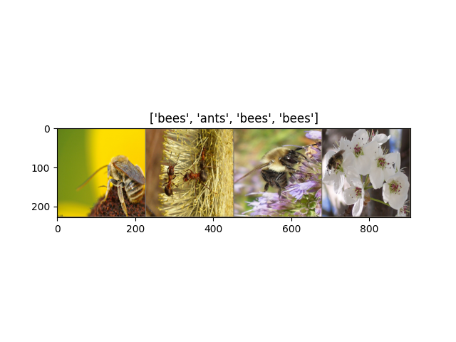 ['bees', 'ants', 'bees', 'bees']