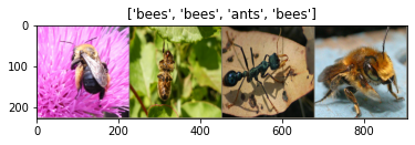 Ants and Bees