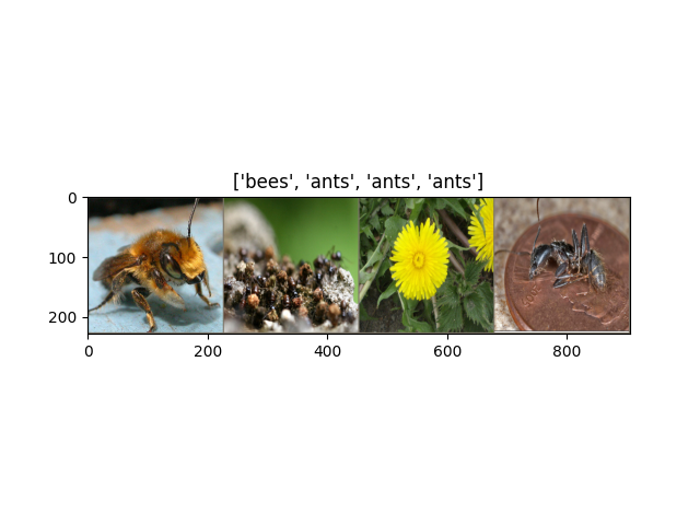 ['bees', 'ants', 'ants', 'ants']