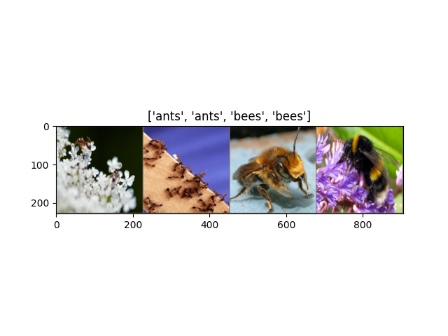 ['ants', 'ants', 'bees', 'bees']